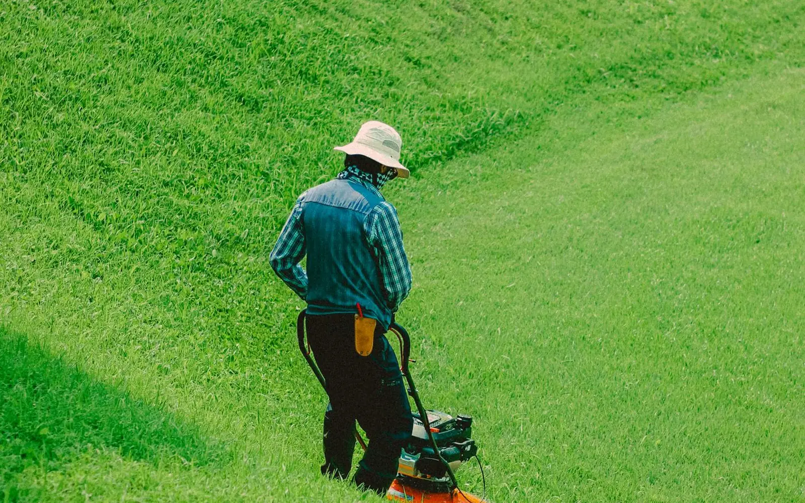 Lawn care and landscaping